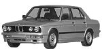 BMW E28 C3696 Fault Code